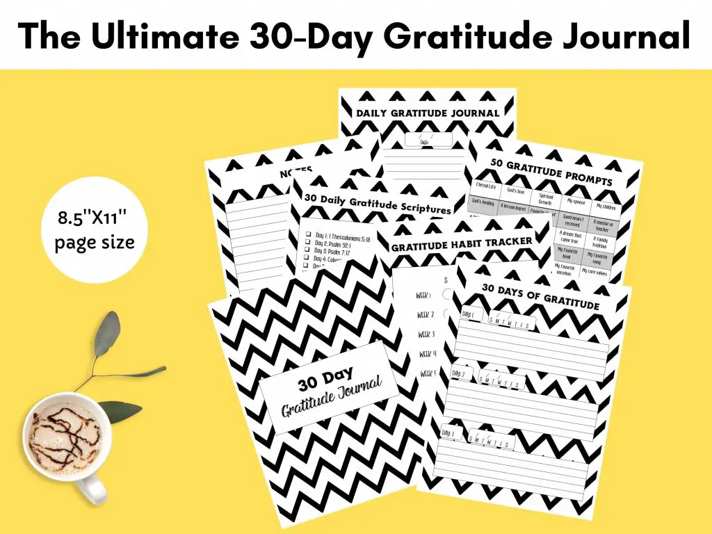 30 day gratitude journal 