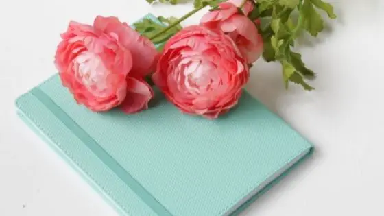 Pink flowers on top of a Mint notebook