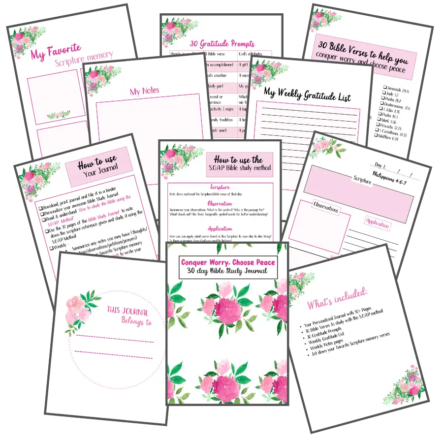 Peace Bible study Journal
