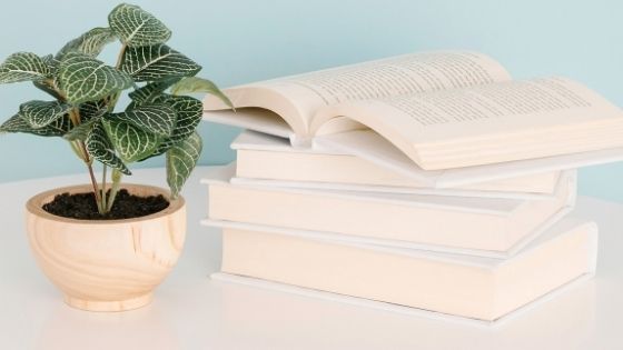 Set of books next to a green flower pot