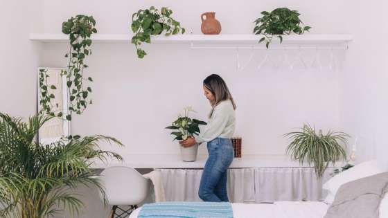 Caucasian girl arranging her green home plants.